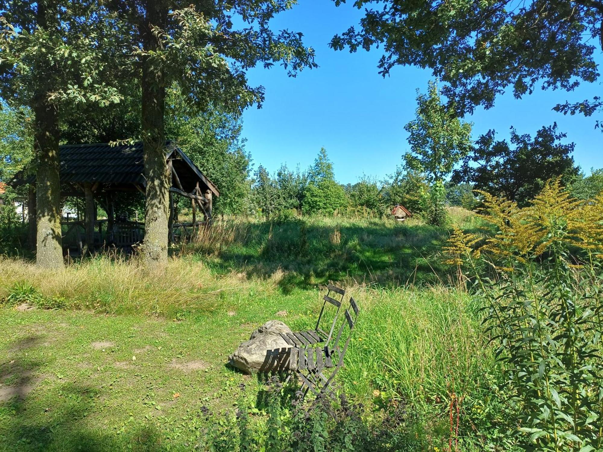 B&B Het Mooie Uitzicht Reuver Extérieur photo