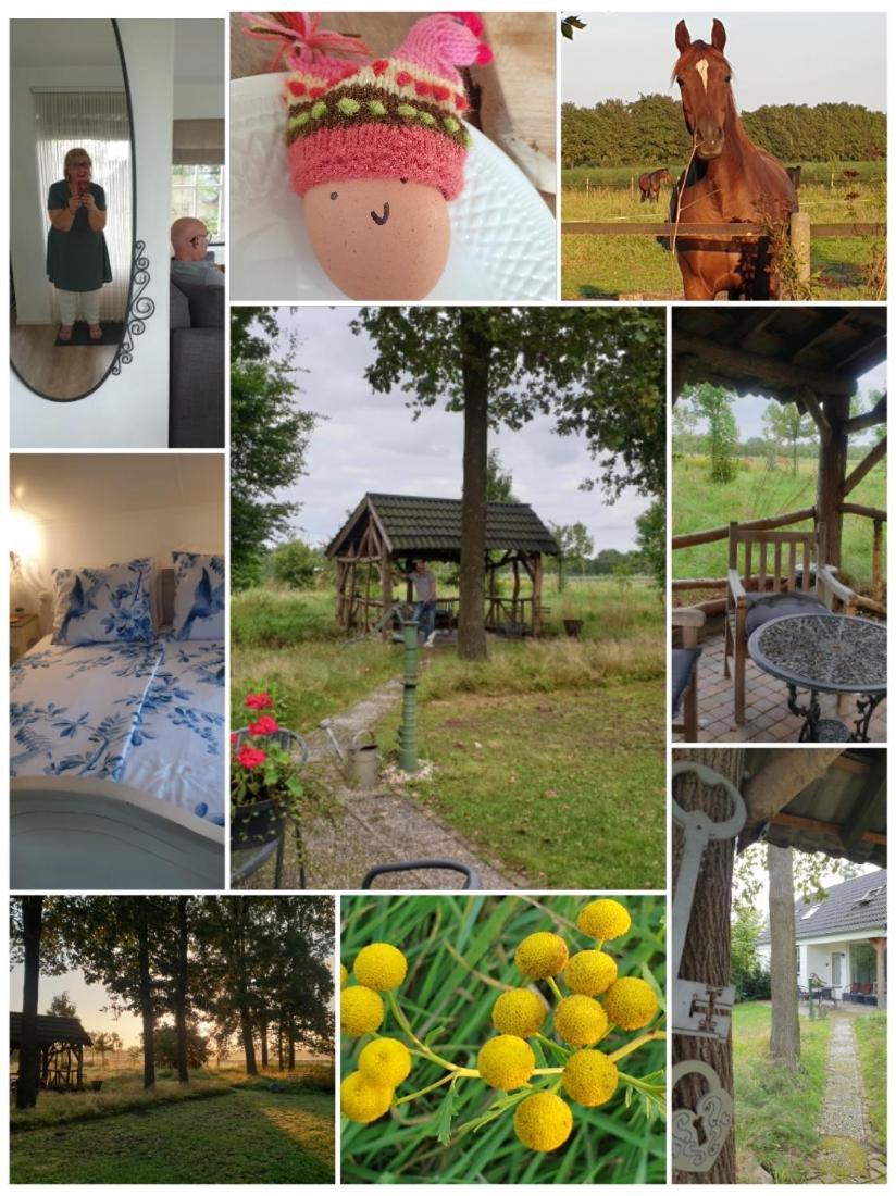 B&B Het Mooie Uitzicht Reuver Extérieur photo