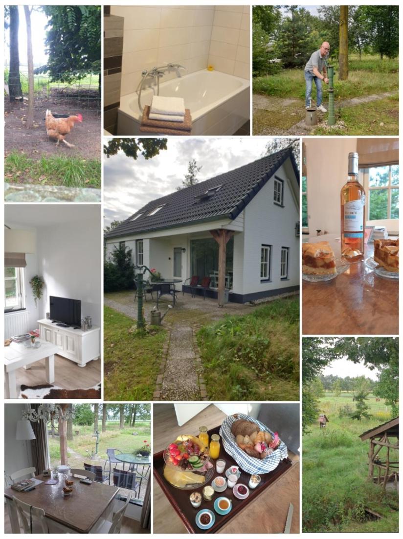 B&B Het Mooie Uitzicht Reuver Extérieur photo